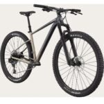 VTT Cannondale Trail SE 1 fourche RockShox suspension avant