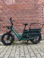 Fiido T2 transport de deux enfants