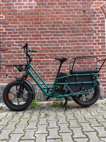 Fiido T2 transport de deux enfants